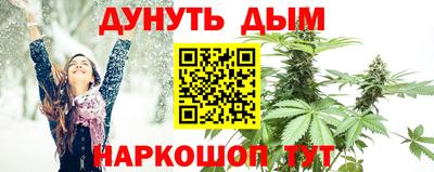 шишки Аргун